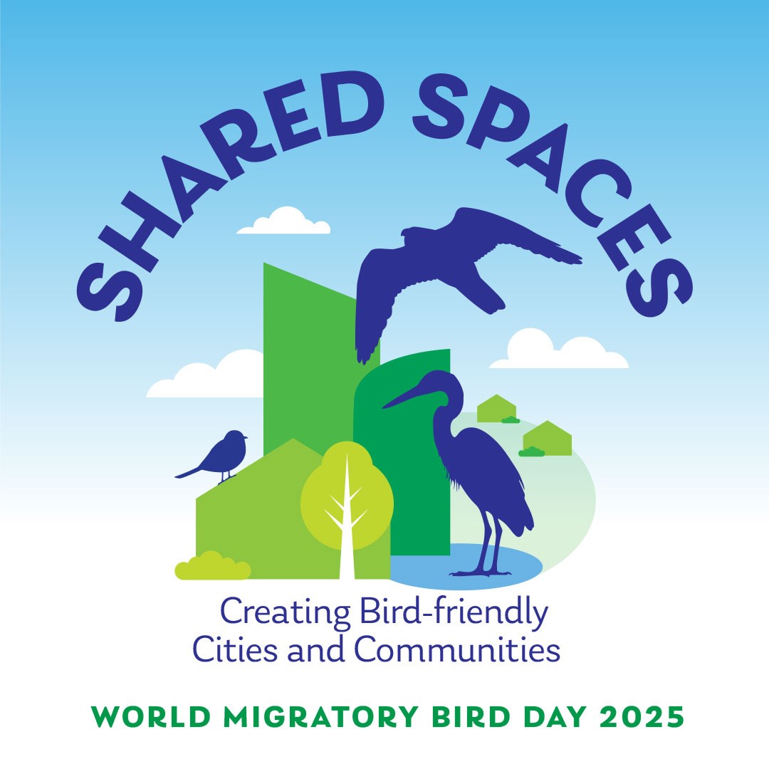 World Migratory Bird Day World Migratory Bird Day
