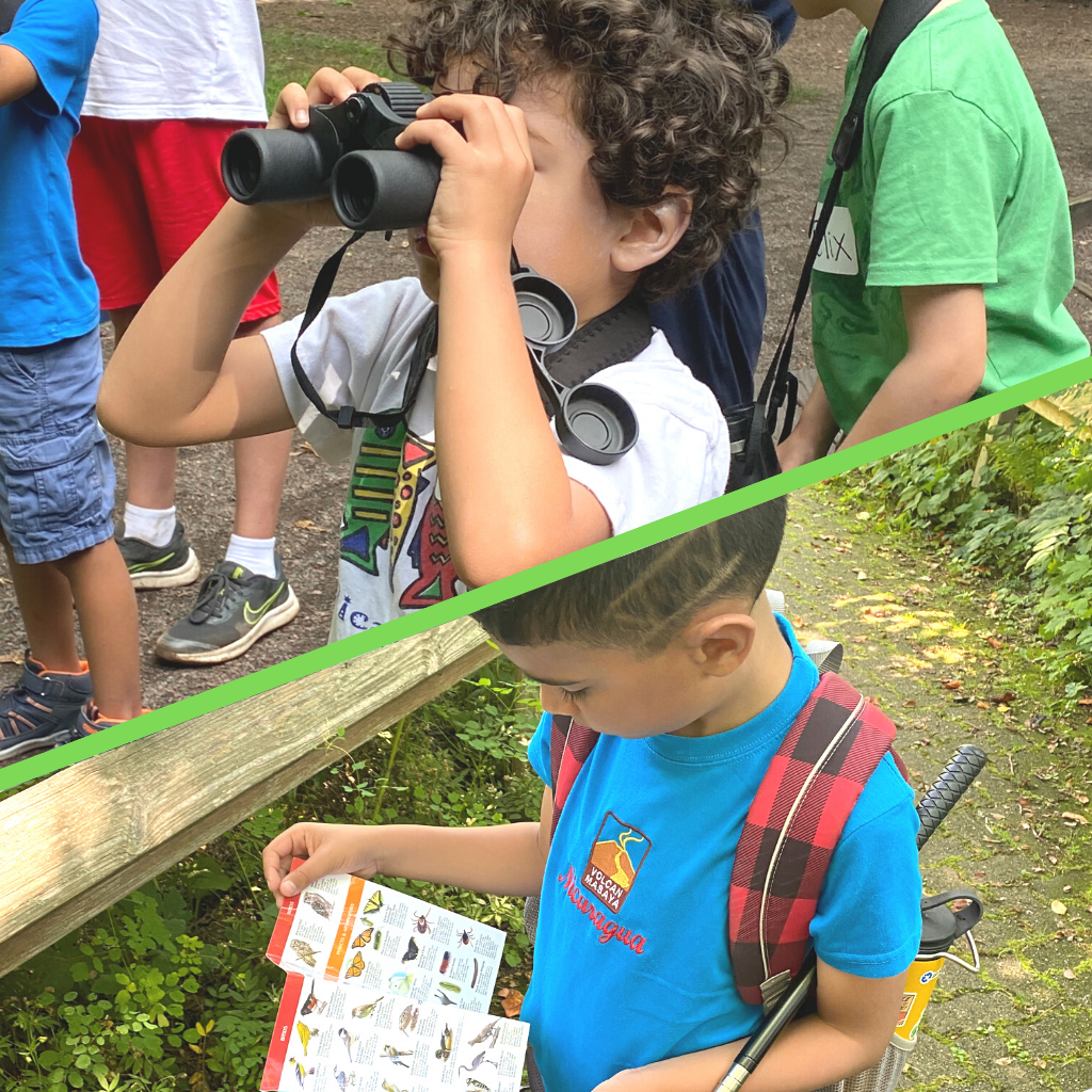 Young Naturalist Summer Camp