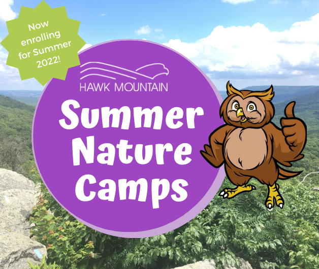 Summer Nature Camps 2022