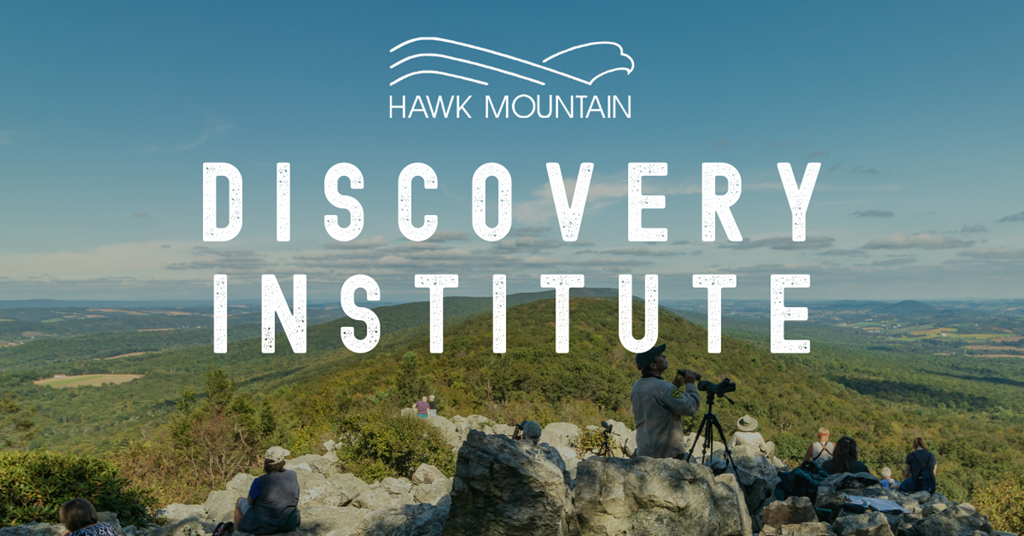 Discovery Institute Graphic with North Lookout background