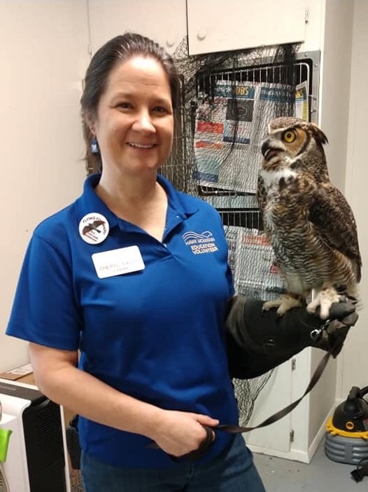 Volunteer Cheryl Faust with the Great Horned Owl education bird