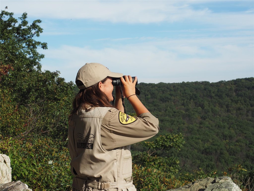 A Science Trainee uses binoculars to search for migrating raptors from South Lookout