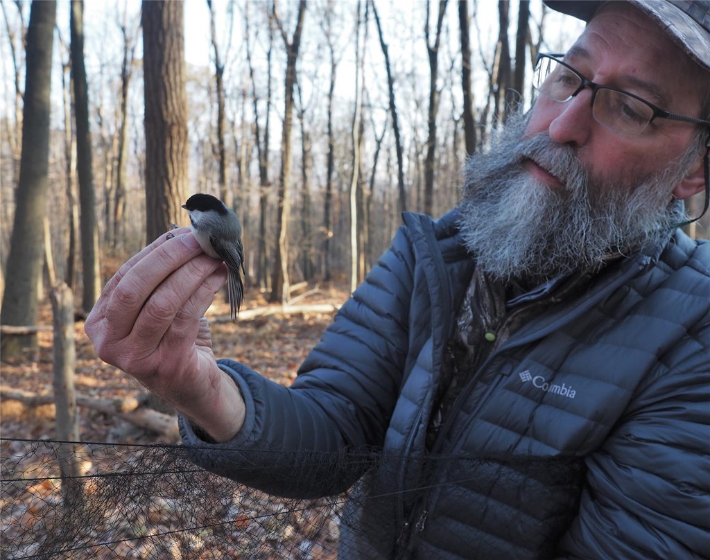 Dr. Robert Curry with a Chickadee