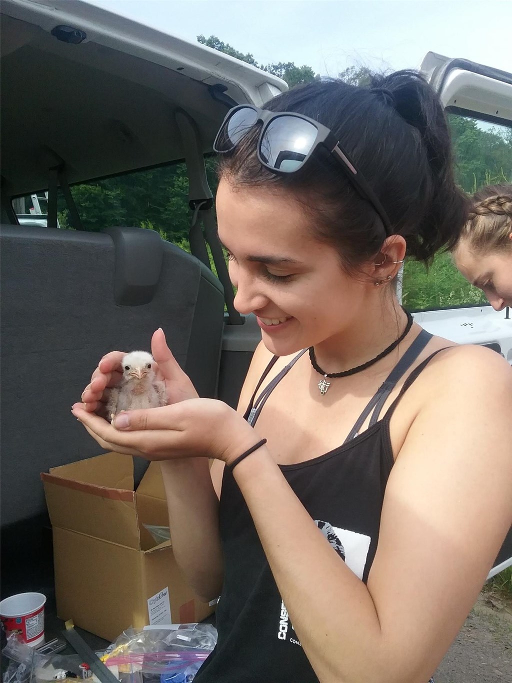 Summer Field Experience Trainee holding a recently banded American kestrel chick.