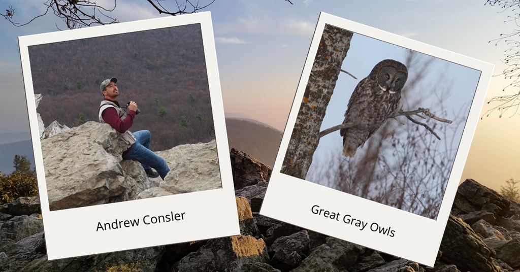 Andrew and Great Gray Owls