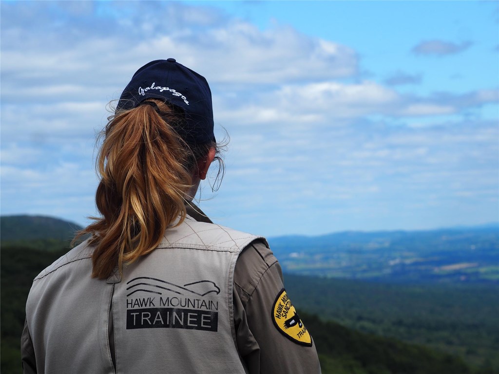 Conservation Trainee looks out over North Lookout vista.