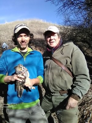 Dr. JF Therrien (senior research biologist at Hawk Mountain) and Denver Holt (founder and president of the Owl Research Institute) just before releasing a long-eared owl.