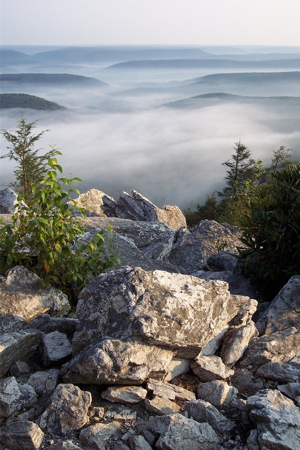 Fog settles among the mountain ridges, view from North Lookout. 