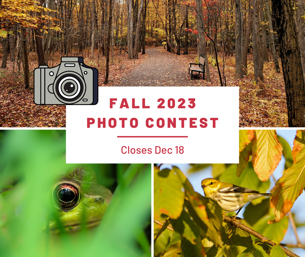 `Fall Photo Contest 2023 Graphic