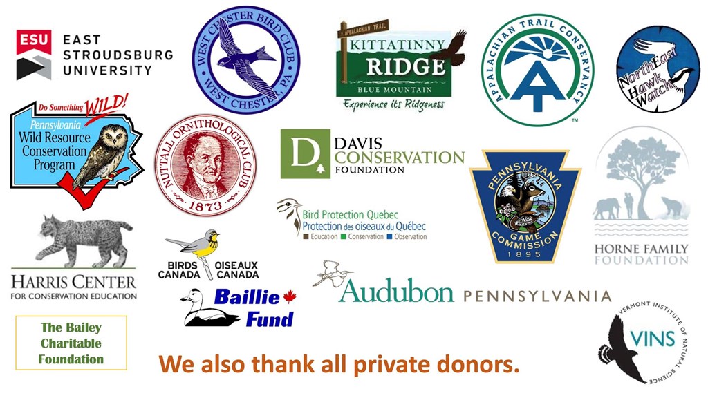 logos