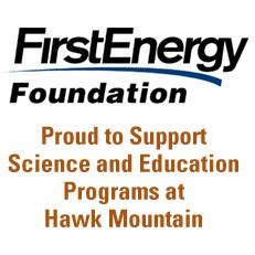 First Energy Foundation
