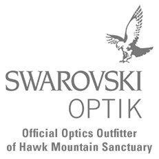 Swarovski