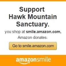 AmazonSmile 3