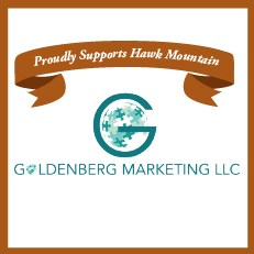 goldenberg marketing 2