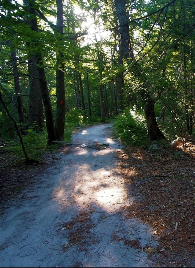 Part of the Lookout Trail up to the North Lookout