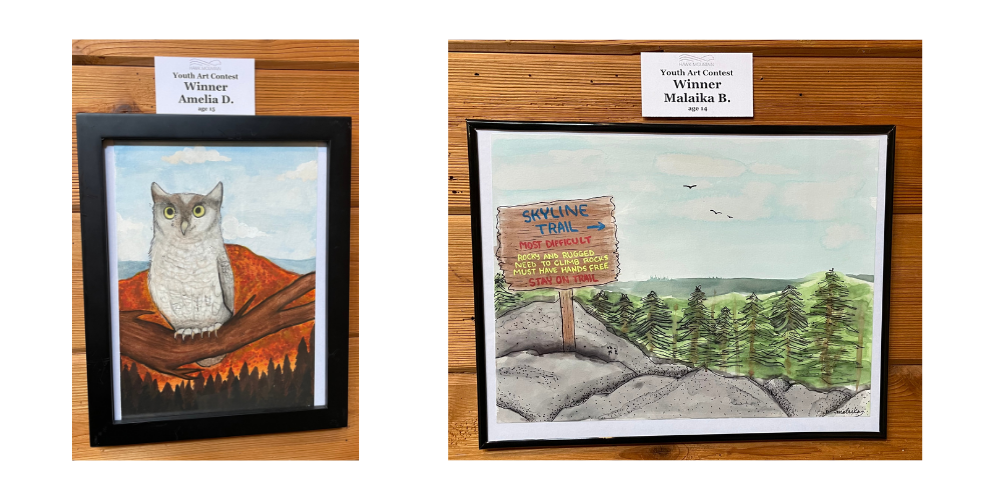 Youth Art Contest Ages 10-16 Winners 2022 Youth Art Contest Ages 10-16 Winners 2022