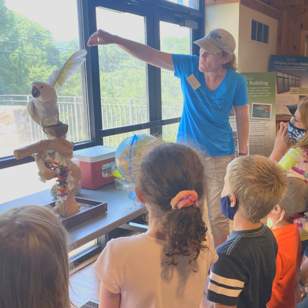 Jamie showing a parrot's wings at summer camp