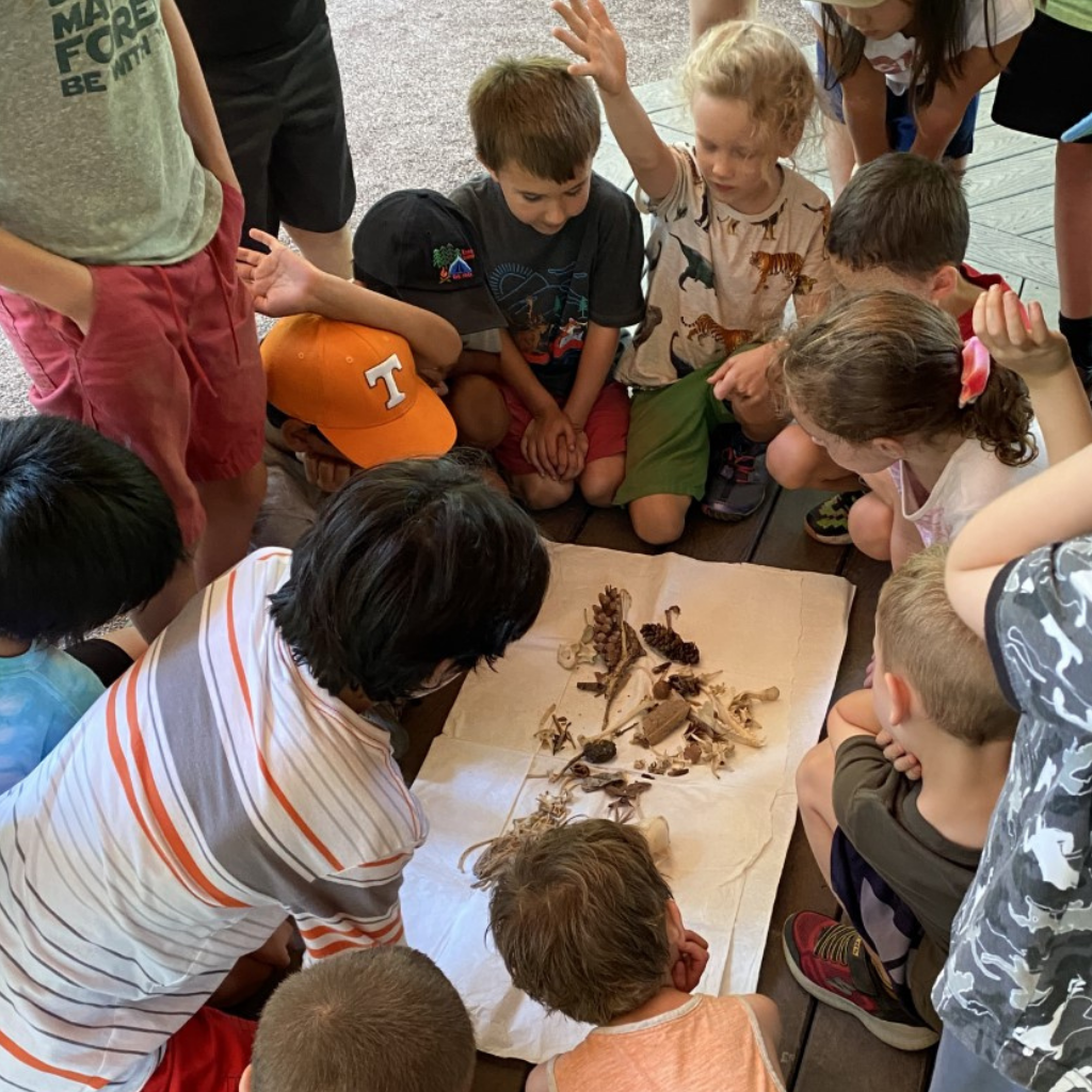 Campers doing an activity at summer camp Campers doing an activity at summer camp