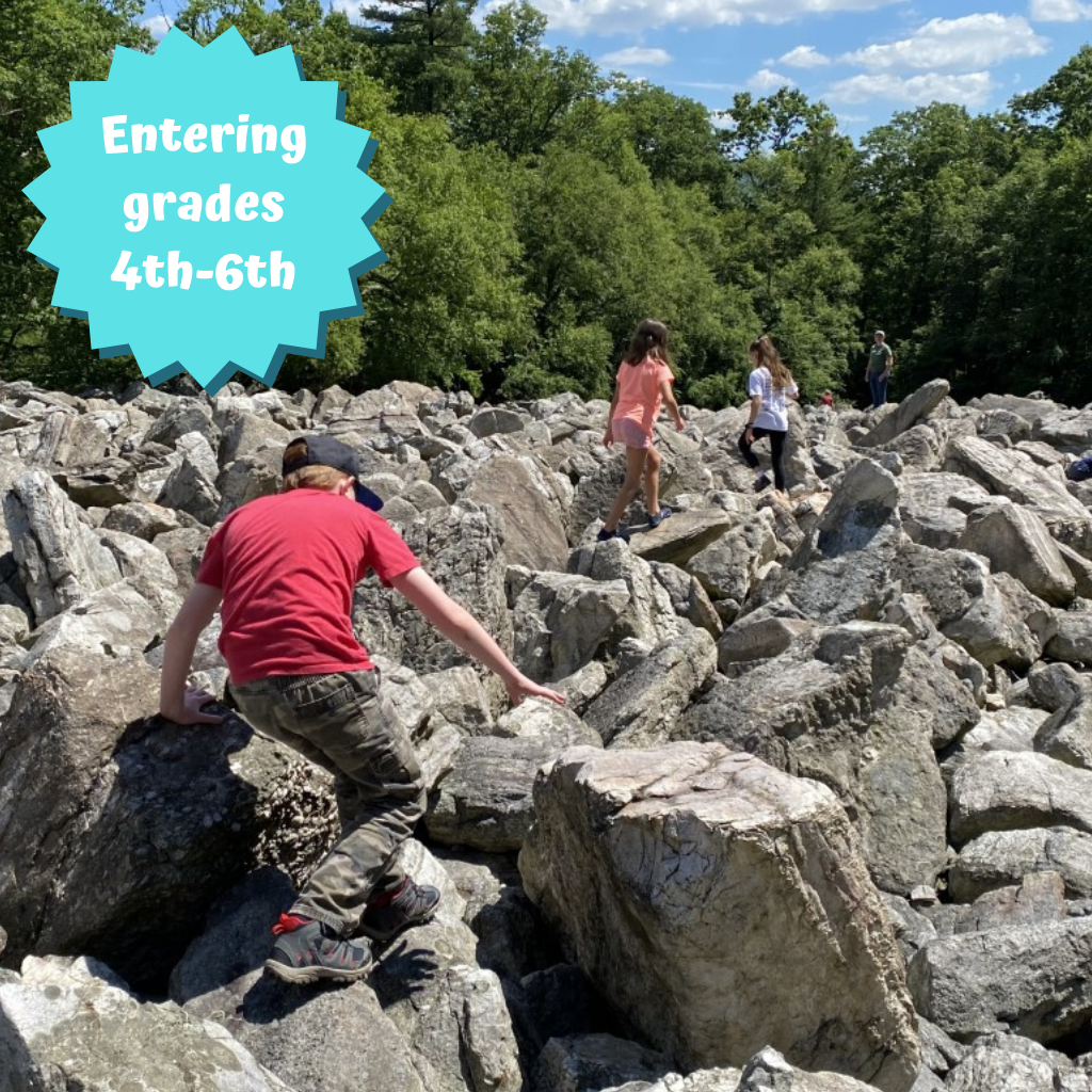 N.S.I. (Nature Scene Investigator) Summer Camp 2022 N.S.I. (Nature Scene Investigator) Summer Camp 2022