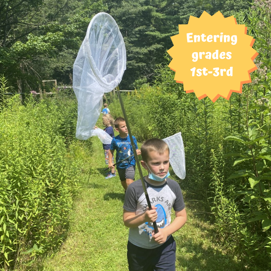Young Naturalist Summer Camp 2022