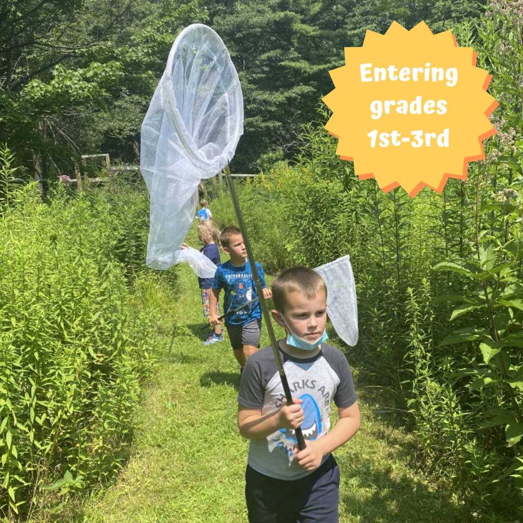 Young Naturalist Summer Camp 2022 Young Naturalist Summer Camp 2022