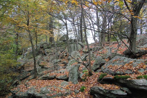 Rocks