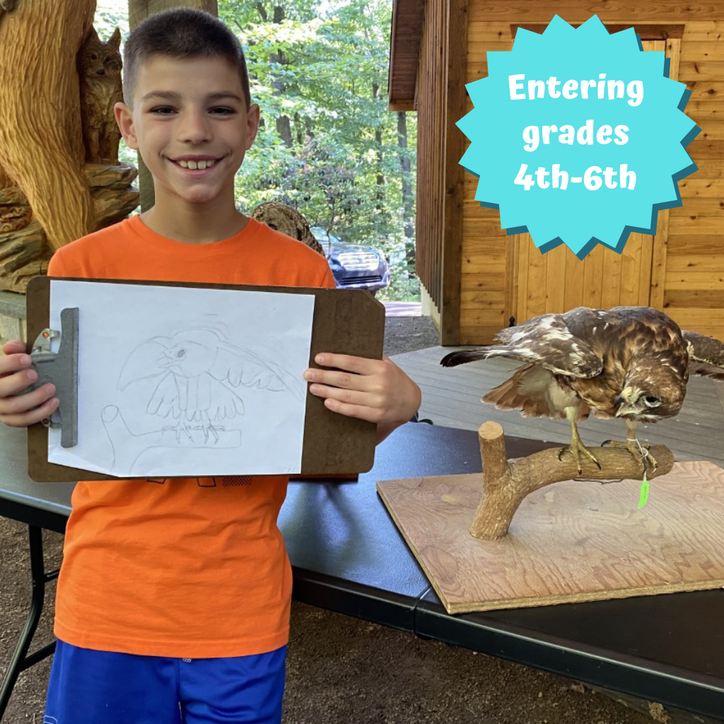 Art of Nature Summer Camp 2022 Art of Nature Summer Camp 2022