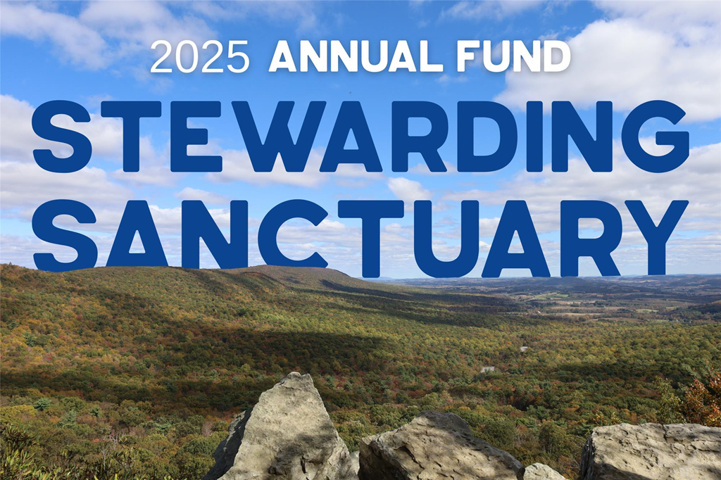 Graphic for Annual Fund Campaign 2025