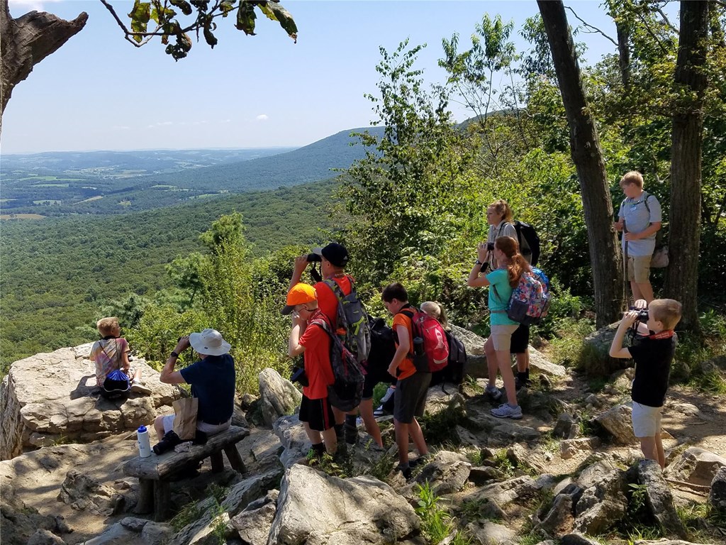 Kids Hawkwatching at South Lookout