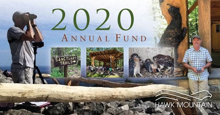 2020 Annual Fund 2020 Annual Fund