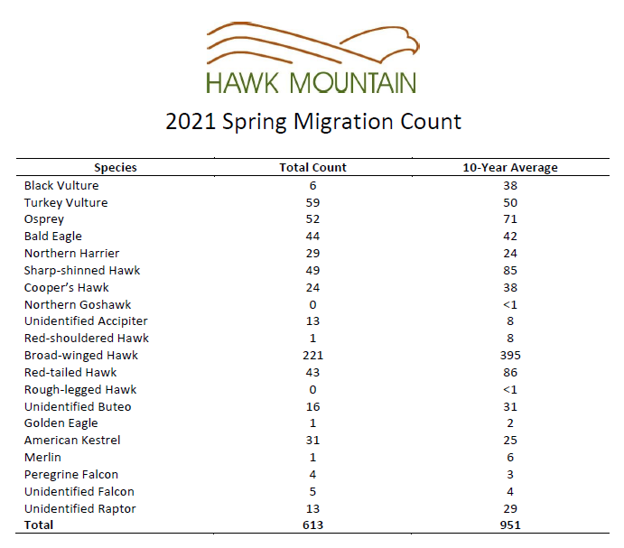 Spring Migration 2021 Count Chart