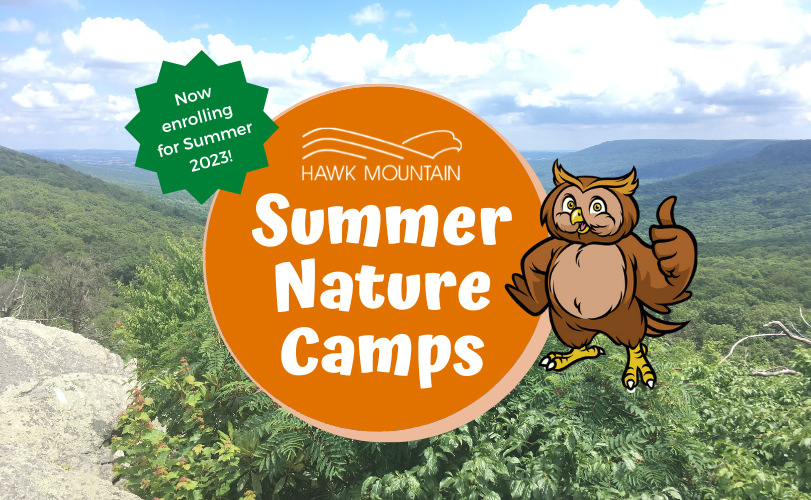 2023 Summer Camps Graphic 2023 Summer Camps Graphic