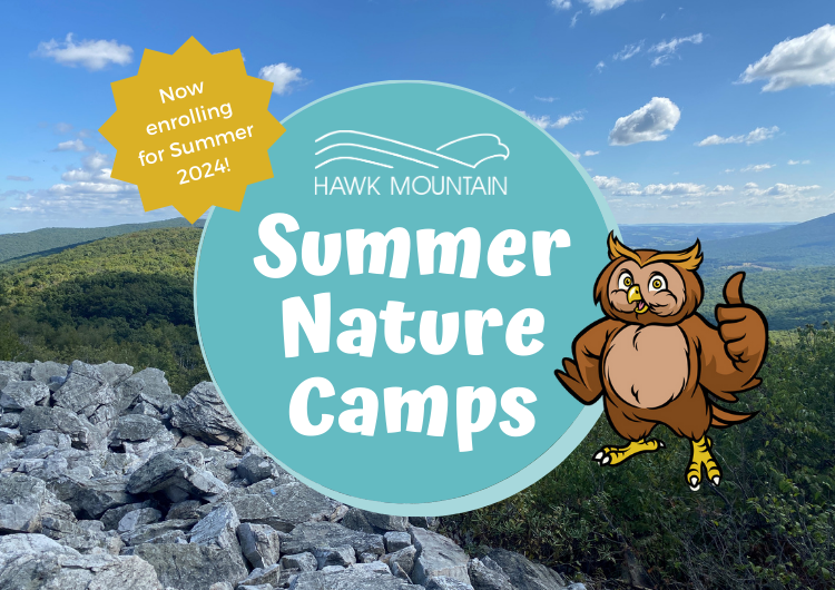 Summer Nature Camps 2024 Graphic