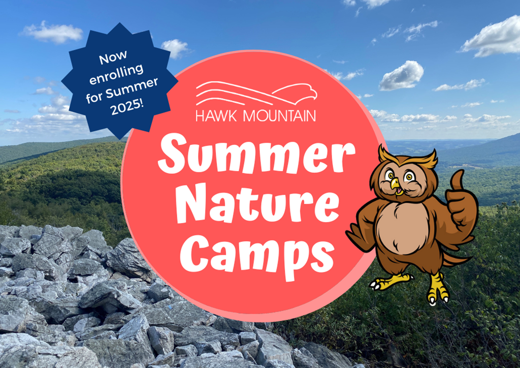2025 Summer Nature Camps Graphic 2025 Summer Nature Camps Graphic
