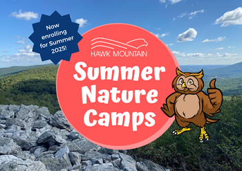2025 Summer Nature Camps Graphic