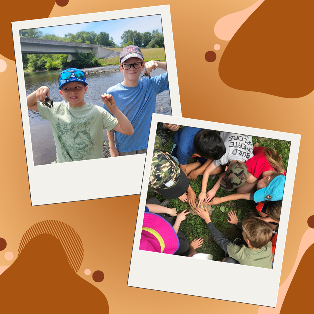 Animal Adventures Summer Camp graphic