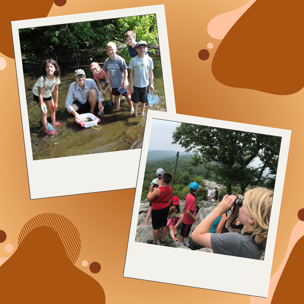 Streams to Skies Summer Camp graphic