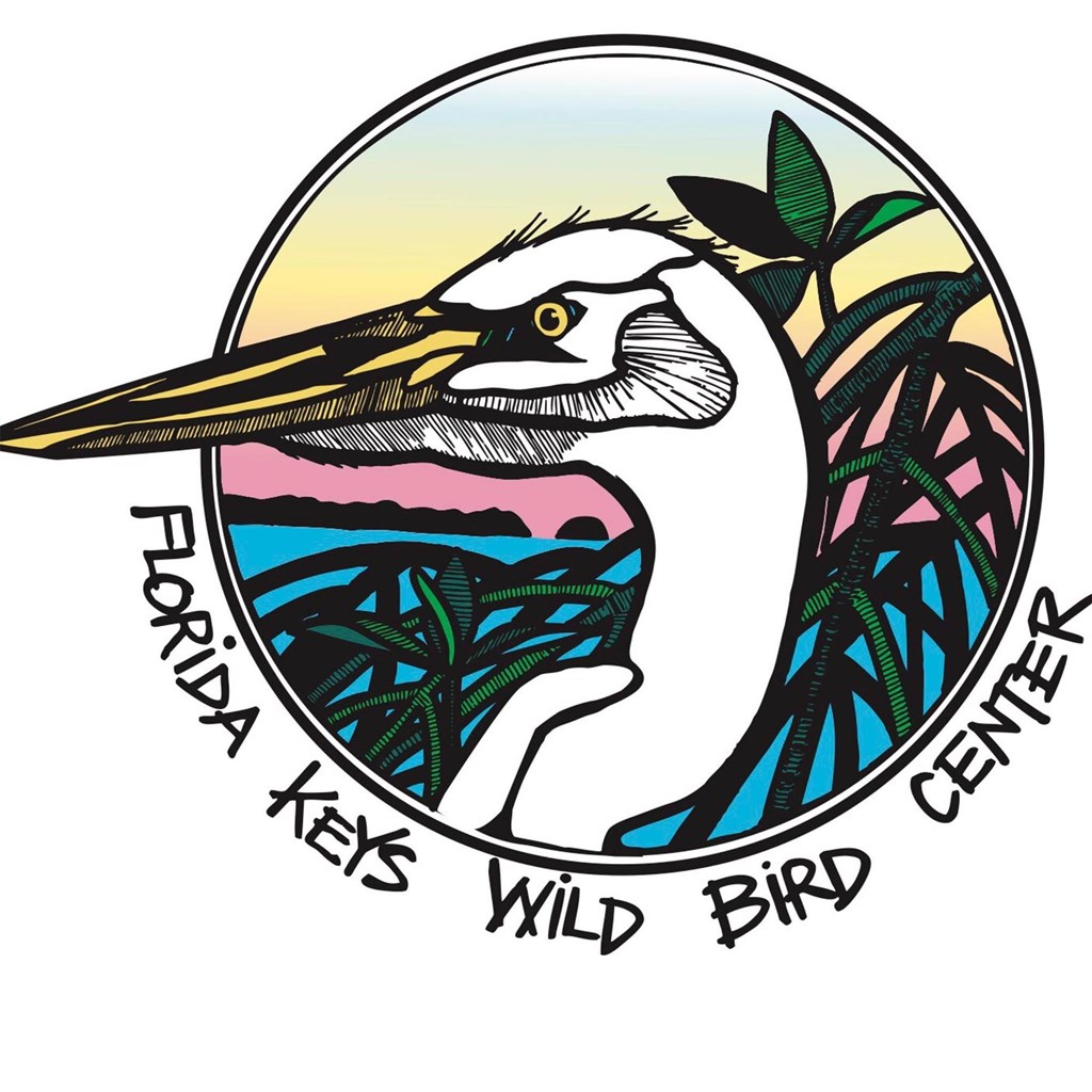 Florida Keys Wild Bird Center Logo Florida Keys Wild Bird Center Logo