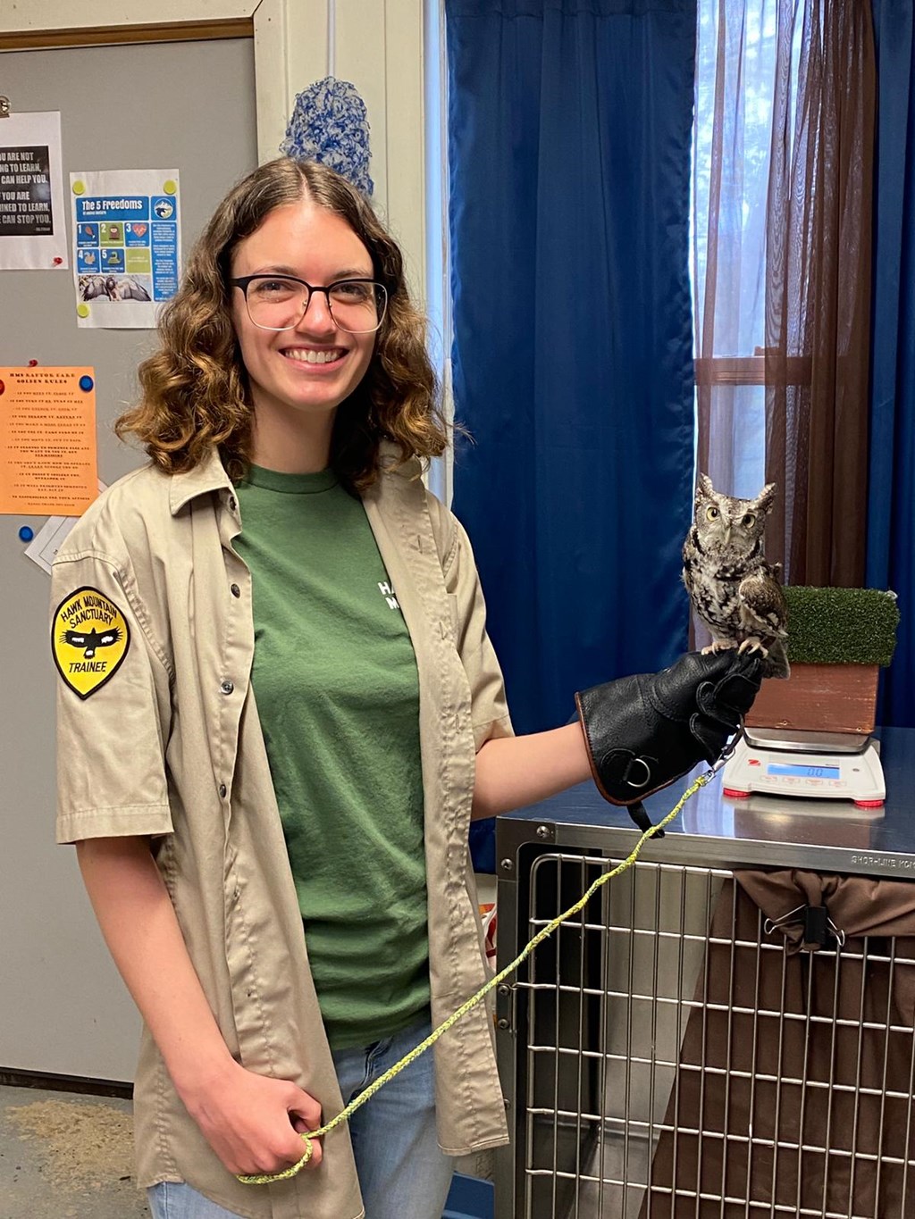 Trainee Cat Boyle with Eastern Screech Owl