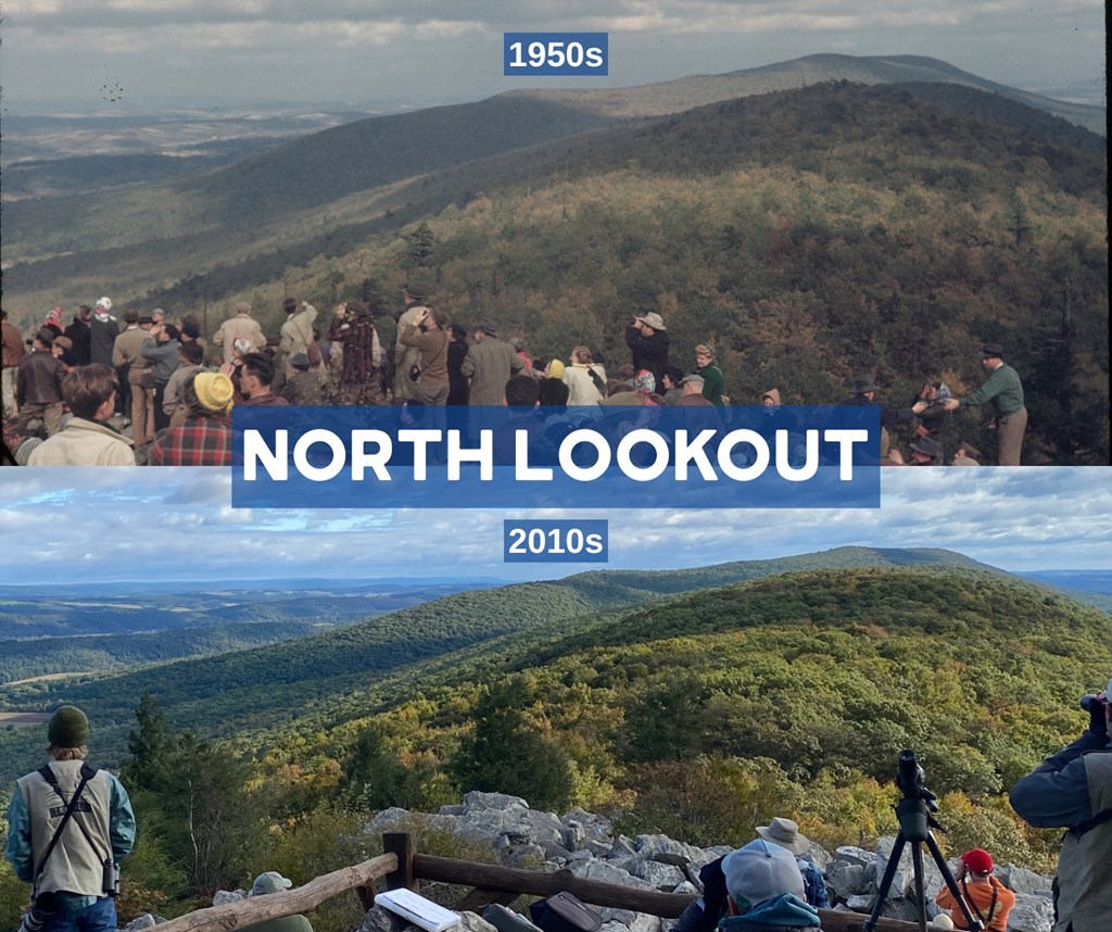 North Lookout in the 1950s compared to in the 2010s