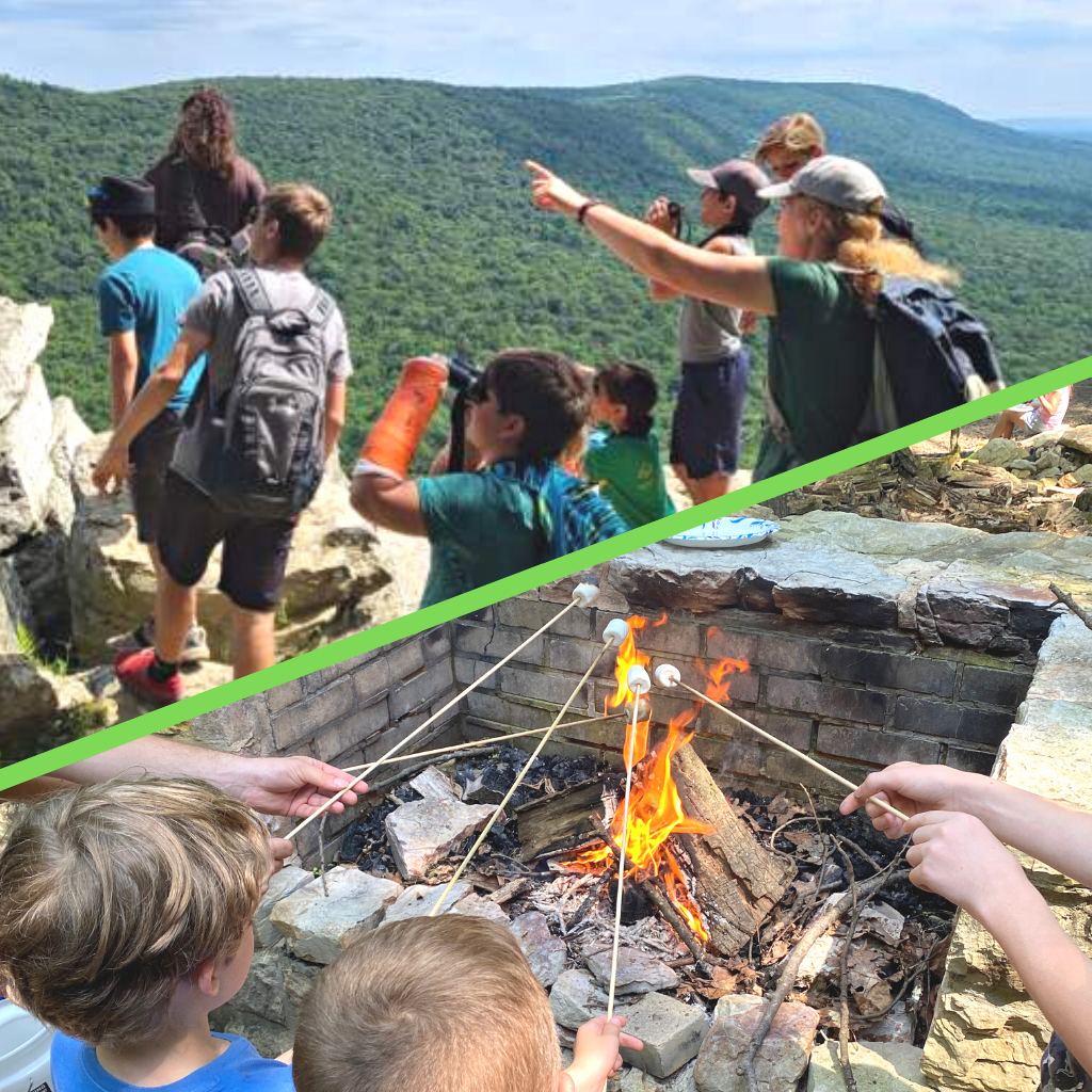 Surviving in the Wild Summer Camp Surviving in the Wild Summer Camp