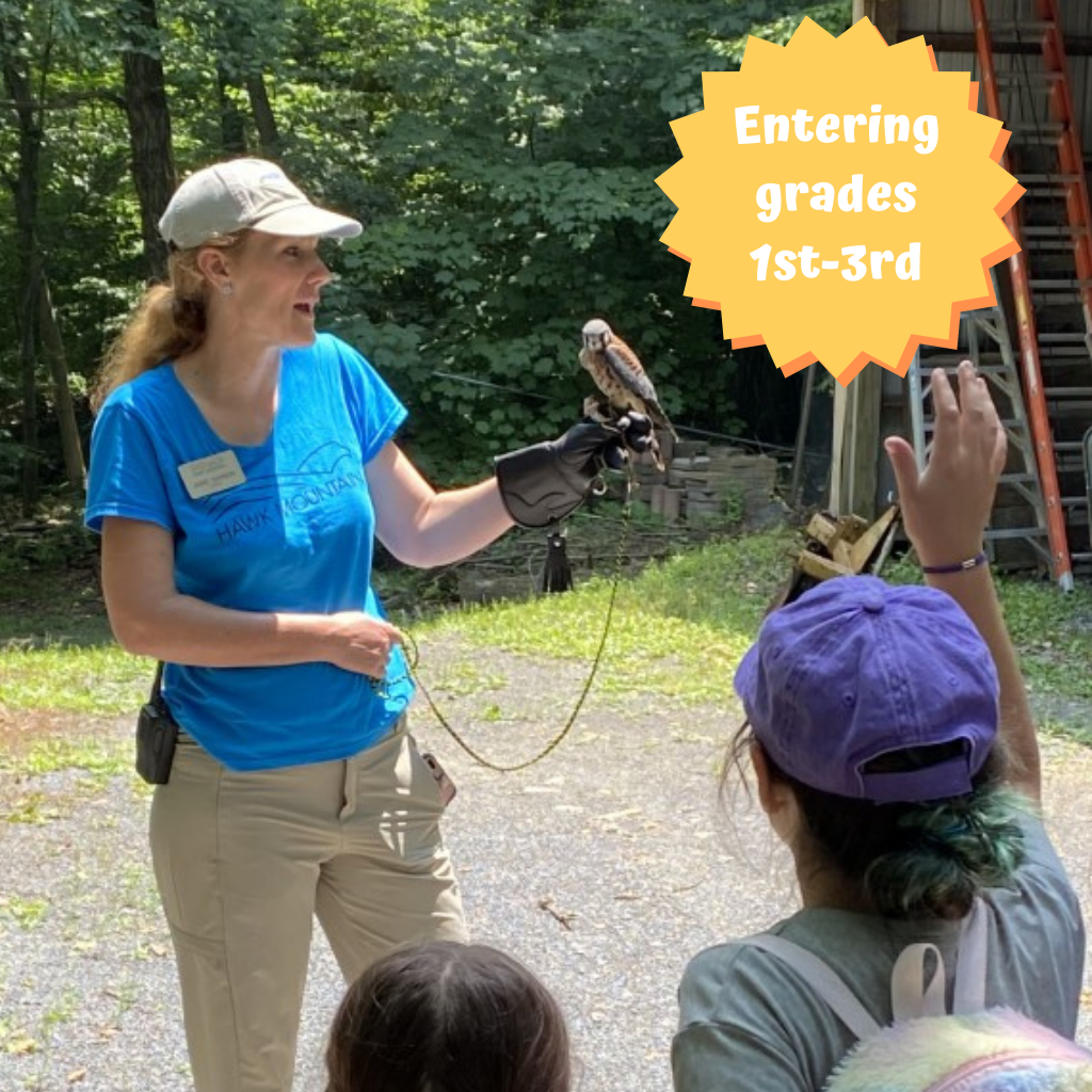Fascinating Creatures Summer Camp 2022 Fascinating Creatures Summer Camp 2022