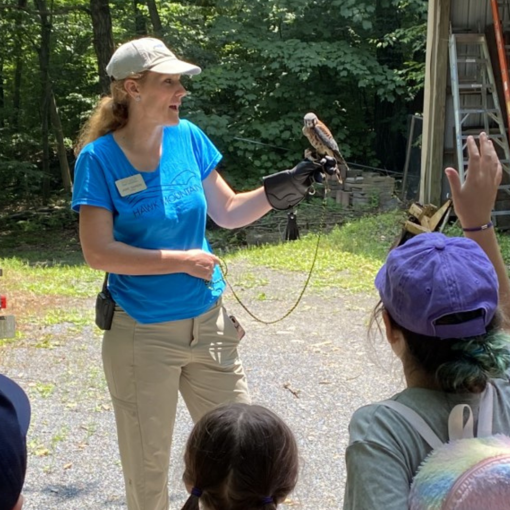 Jamie holding an American Kestrel at Summer Camp Jamie holding an American Kestrel at Summer Camp
