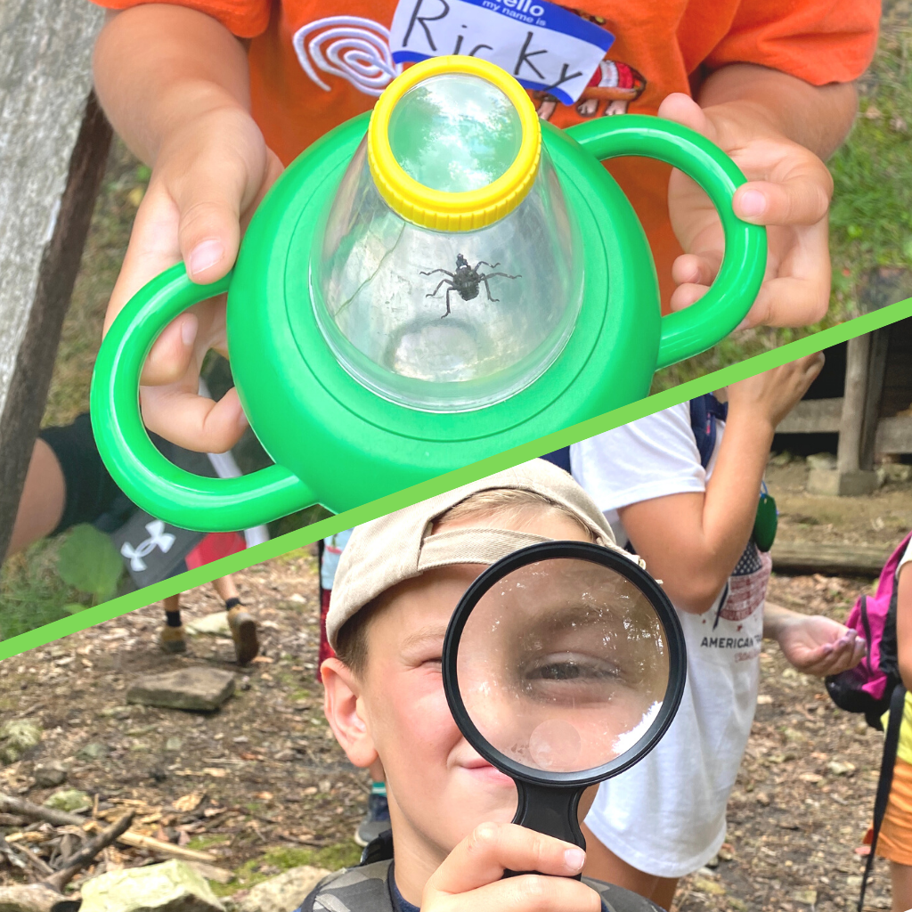 Wild Discoveries Summer Camp