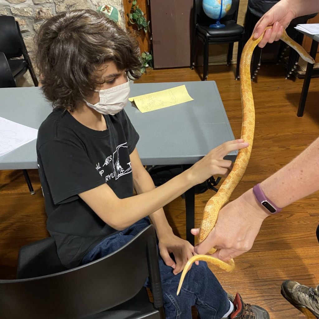 Camper touching a snake at summer camp