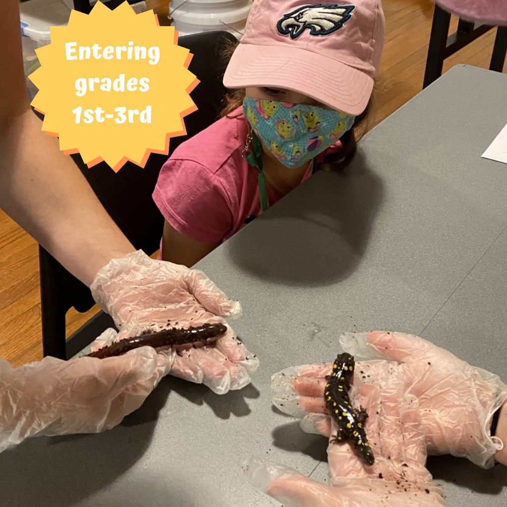 All Creatures Big & Small Summer Camp 2022 All Creatures Big & Small Summer Camp 2022
