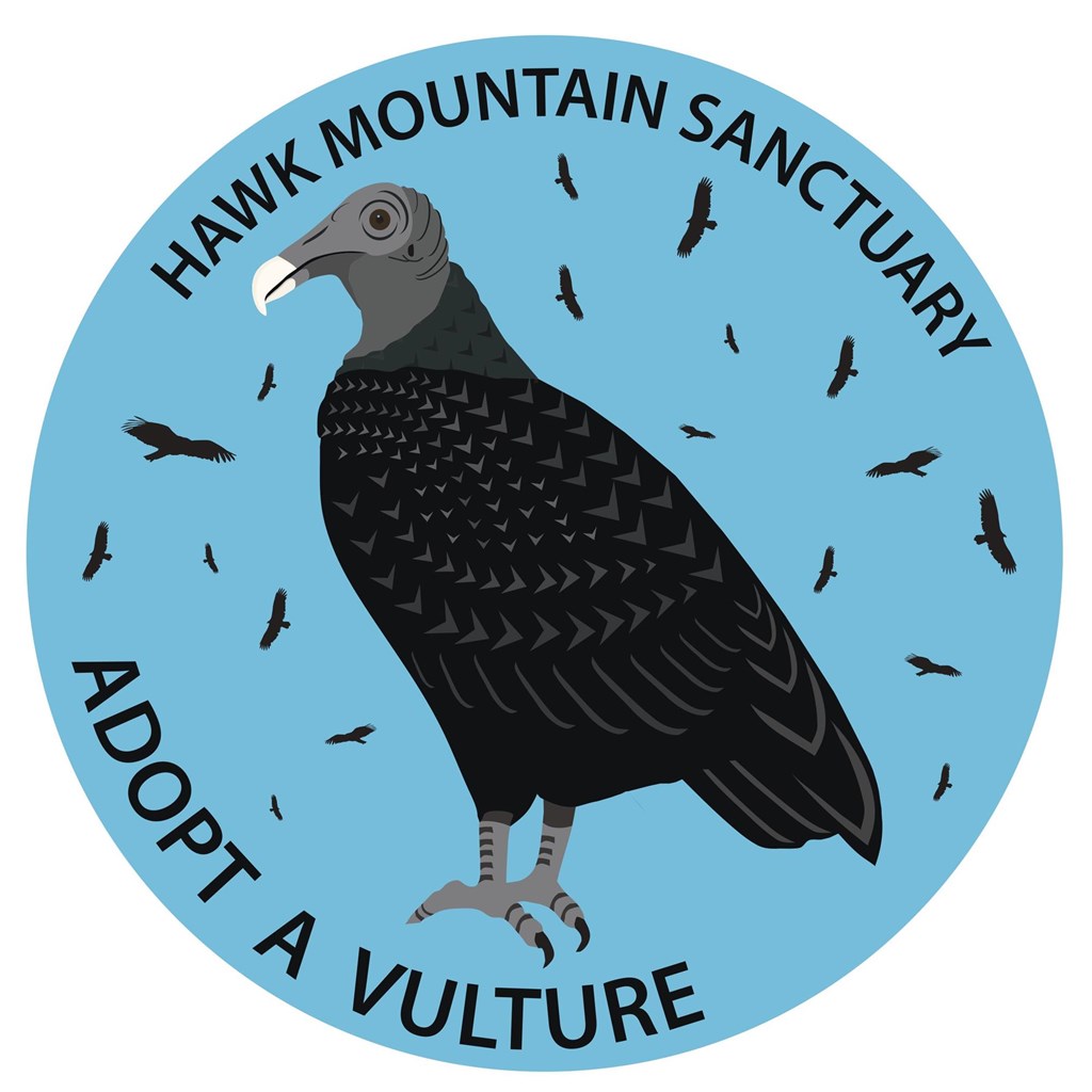 Adopt a Vulture Logo