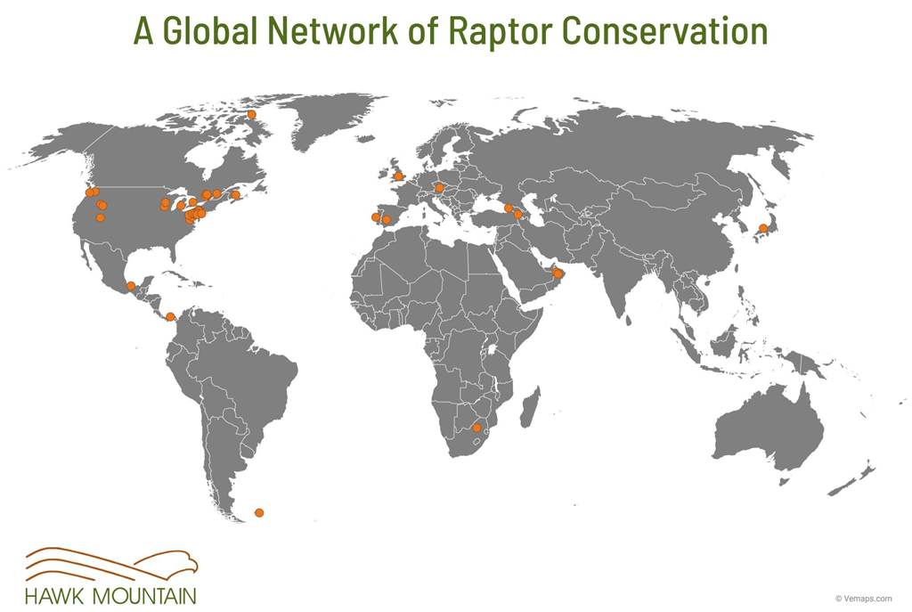 Hawk Mountain's Global Network Map graphic illustrating all of Hawk Mountain's global collaborators and partners