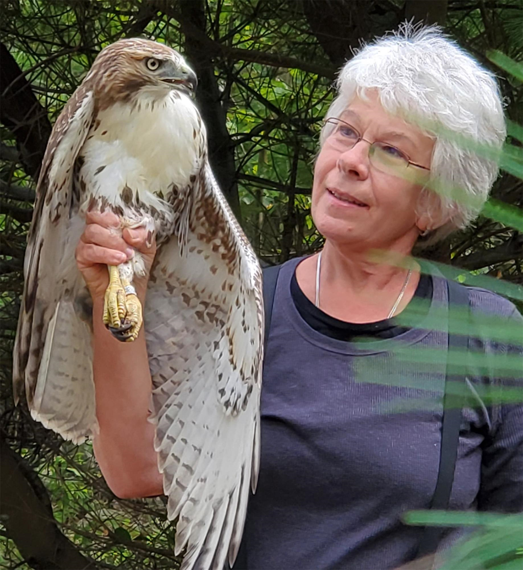 Annie with a Tagged Hawk Annie with a Tagged Hawk