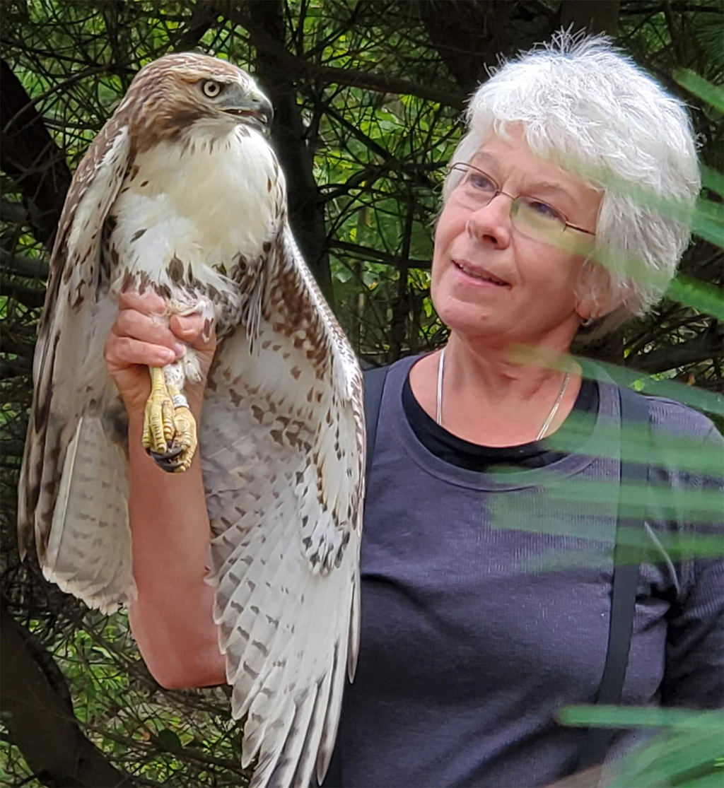 Annie with a Tagged Hawk